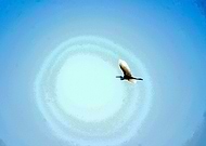 2015-03-13/788c2da7b810517a550052c877d3573c