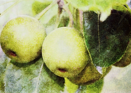 2015-04-02/23077991142a4fb5390ea0bf12e27bd4