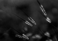 2015-05-05/3281cc39d07395cad087c2753214f11d