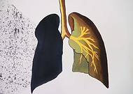 2015-05-28/5cd5195c6a2b5a7d4ca759ec46e87b81