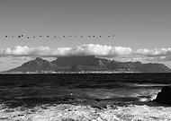 2015-07-16/153a28771fb219dc1e9b84c24696224c