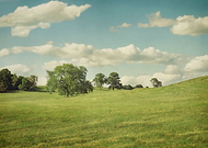 2015-07-28/37ae47b84406f8faee8c223342327595