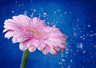 2015-07-28/7274a0459ee9bb24fef218ed1115fd76