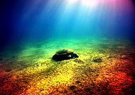 2015-07-31/323cf5f32a9fc8ce06f6d36a0d5a262f