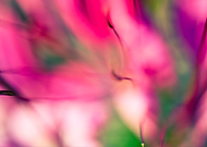 2015-08-16/2414b824eaa79314d84bec8fdc23145b