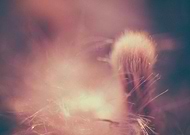 2015-08-16/3536eff61d625fe81b1e7f90b6b36aba