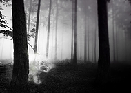 2015-08-27/68ce5c434cd5a64c24335c24d948979d