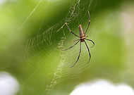 2015-08-27/8f816d6af0fd9899d5b1e963805d83dc