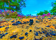 2015-08-27/fa2729e50d481895751fbbb5e53d56f3