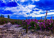 2015-08-28/d6cd4d7a7854dcacb6f8b69efec5ed29