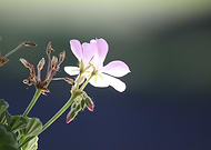 2015-08-31/63e66776b6231b407bbb6df75686f024