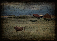 2015-08-31/71f0fa03222a3eb2063d13cf8a56f58f