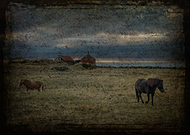 2015-08-31/8b0e62399a6357ed3e842f52654ec041