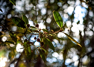 2015-09-12/56666dd07de7d0f4e6018dbd0bae6f65