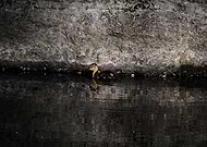 2015-09-17/5c2817d5bdbd777892c23f46fd7f9607