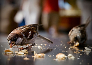 2015-10-09/2c5f9f17d01b48ca96f3dab834cec34d