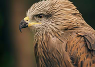 2015-10-24/0a754d9239ed55bc4bcf1d1c2eb6792d