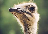 2015-11-03/9ee3a725d85931b39bde90b682f6b8e4