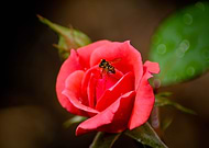 2015-11-13/78ddbb2b4ded12cb712f849e6b43c59f