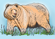 2015-11-26/6aa971403ce0cab07879a3f041700b87