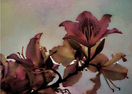 2015-12-21/349f6cc185f5c297ab10880e26d18e80