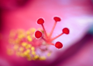 2015-12-28/458fb419b05458834da1fec44745ac90