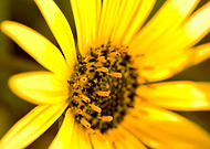 2015-12-28/a432fd8d9a8be66b545384b863518649