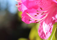 2016-01-04/89031c6cfb9d7edb195aba2e529c61f2