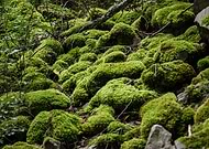 2016-01-05/53a6832ded5b5eed07d94eb1d0da4ce1