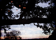 2016-01-15/03a9b03a4ca80f4ab3822e9a3d5786a3