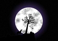 2016-01-16/3208a6c8a8b09a4d46be3d05b03ae089