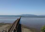 2016-01-19/8a1a1c011916c8b81717cbdb25ab43ff