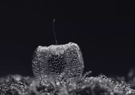 2016-02-12/7abbf287c595d529f6aad74e72ff6e94