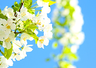 2016-02-17/b58f27d7ab8429b051cefab9abb91181