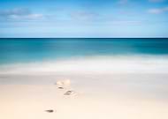 2016-03-15/0f0215c848129e781e913b87616cd508