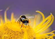 2016-03-18/81dd3017dabd4fe0f7cae184bce023b0