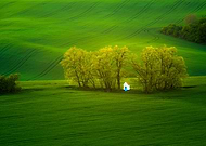 2016-03-23/5be2cc698a2f3ba192c7373dddf0b33a