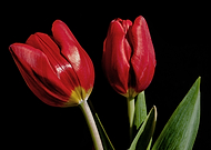 2016-04-09/7e617464219388b61d8b37eadd3a7fb2