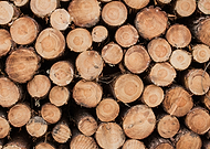 2016-05-01/e0084ceeae370ff1bb81c6cca8188456