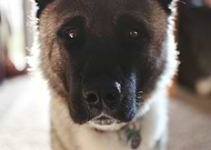 2016-05-01/e8b62a0511a248d00ae1e65fad3e645c