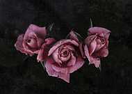 2016-05-04/bbf3d038482eca3c43d42db3d6941de8