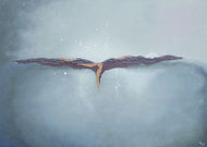 2016-05-13/1621a22cb847369365906cf0cc9ae431