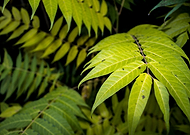 2016-06-15/952d7246aab4934ae3d65d9c2106672c