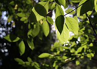 2016-06-15/adf84c1cfd78ed11aac7369cc357a011