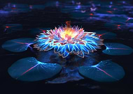 2016-06-15/f9c1c0c96f89648f61def8fd848151b8