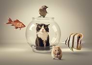 2016-08-02/f949d77cb849c14a0d56f0e9bff32e4f