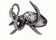 2016-08-10/3cf3df9cb2964dcdd0dda5d2d873a05f