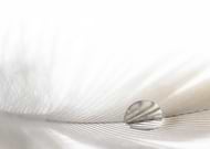 2016-09-02/379446d40fc752fa89d3f960abaf0914