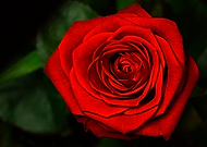 2016-09-04/1fcdc179573540fb4918a5b716a64ccd