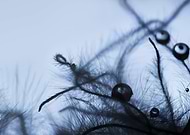 2016-09-05/29475e420893be5cdbf3271421b8de86